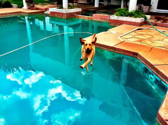 Подборка прикольных фото №3915