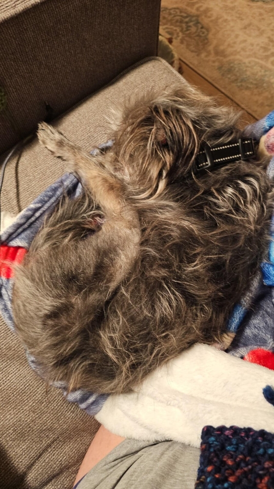 20 примеров обычной реальности, трансформирующейся в иллюзию
20 примеров обычной реальности, трансформирующейся в иллюзию