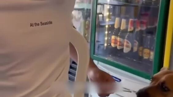 Прекрасные рефлексы
Прекрасные рефлексы