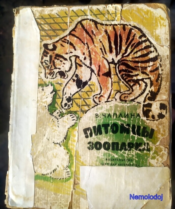 История №1591156