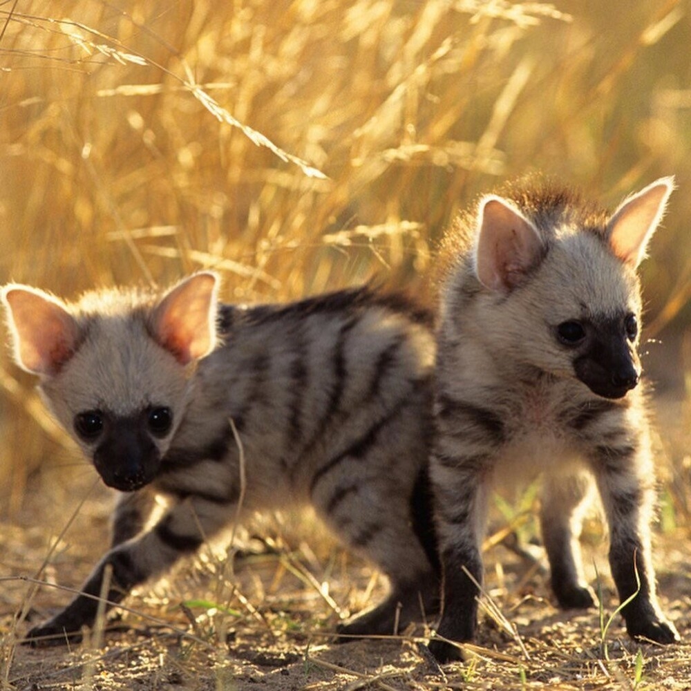 
        23&nbsp;веских причины заново влюбиться в&nbsp;эту&nbsp;планету    