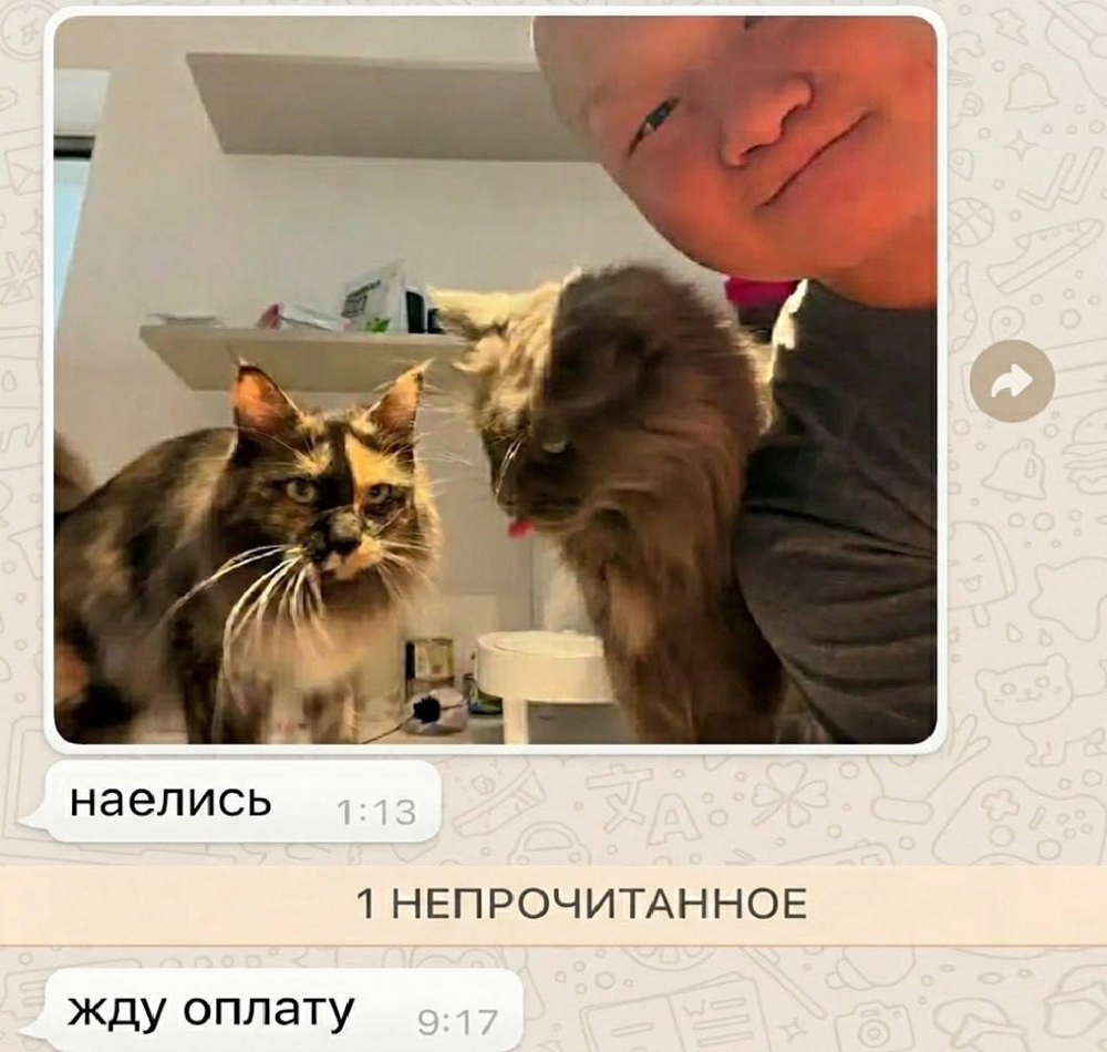 
        Китаец заработал $23&nbsp;000&nbsp;за&nbsp;неделю, работая кото-няней    