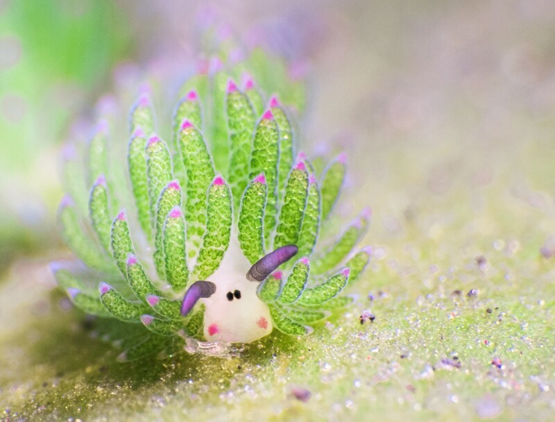 
        25&nbsp;вдохновляющих кадров, от&nbsp;которых перехватывает дыхание    