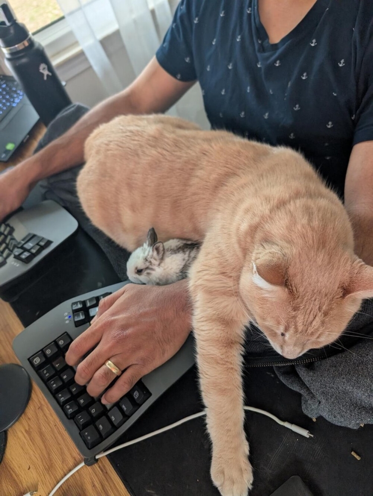 
        30&nbsp;снимков, доказывающих, что&nbsp;мимимишность спасёт мир    