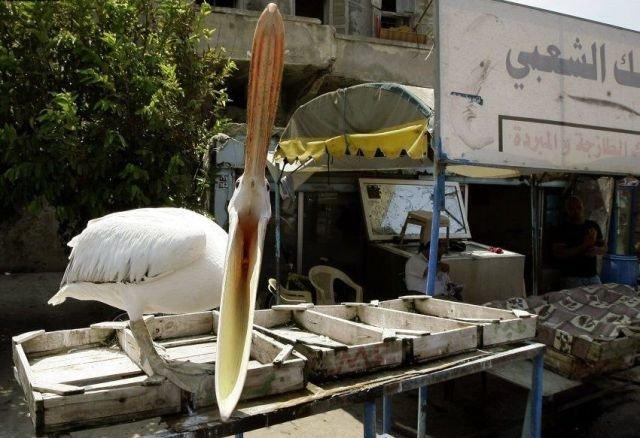 Подборка прикольных фото №3912