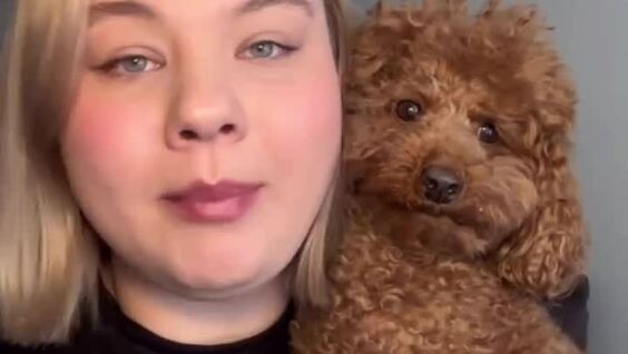 
        &laquo;Это&nbsp;собака или&nbsp;кто?&raquo;: хозяйку удивили рекомендации ветеринара по&nbsp;питанию питомца    