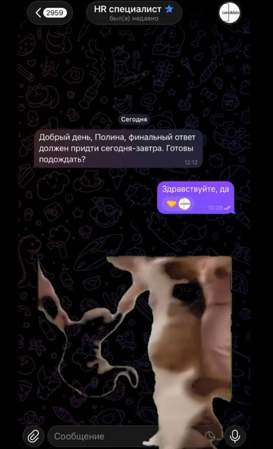 Самое обычное собеседование в 2026 году (7 фото + видео)
