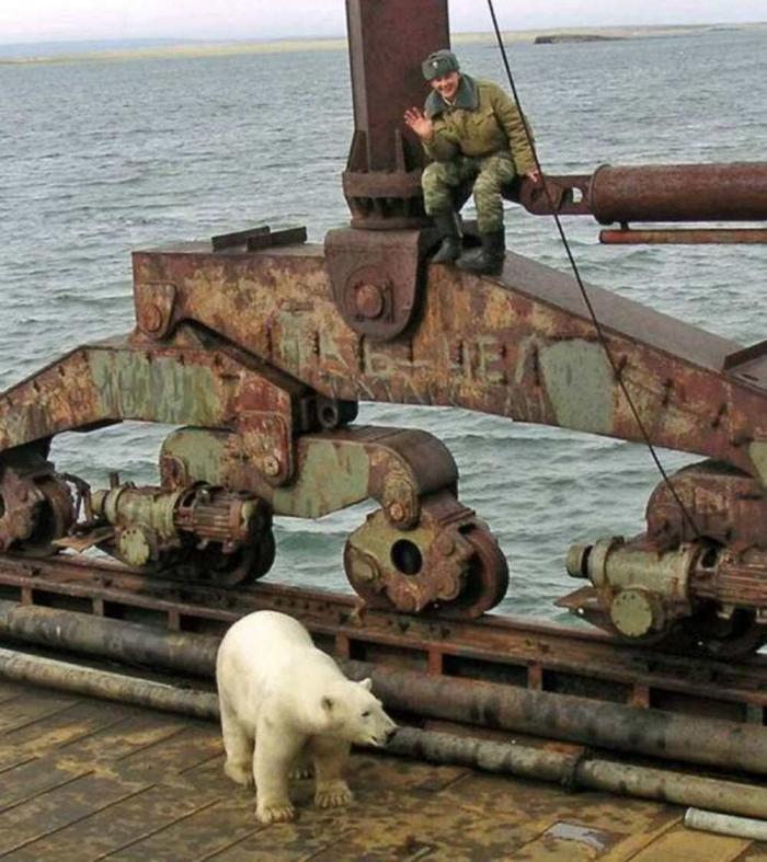 Подборка прикольных фото №3915