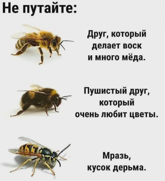 Смешные мемы