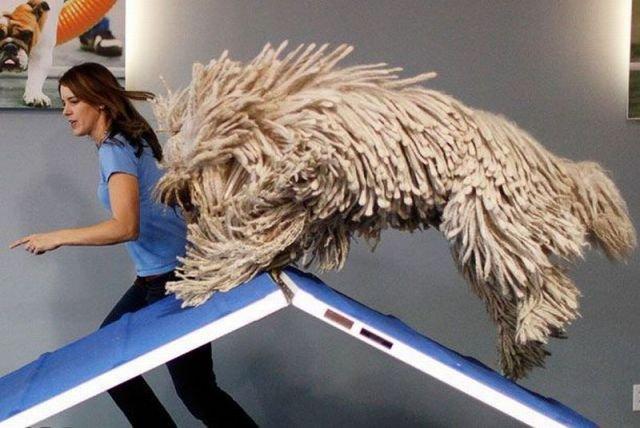 Подборка прикольных фото №3911