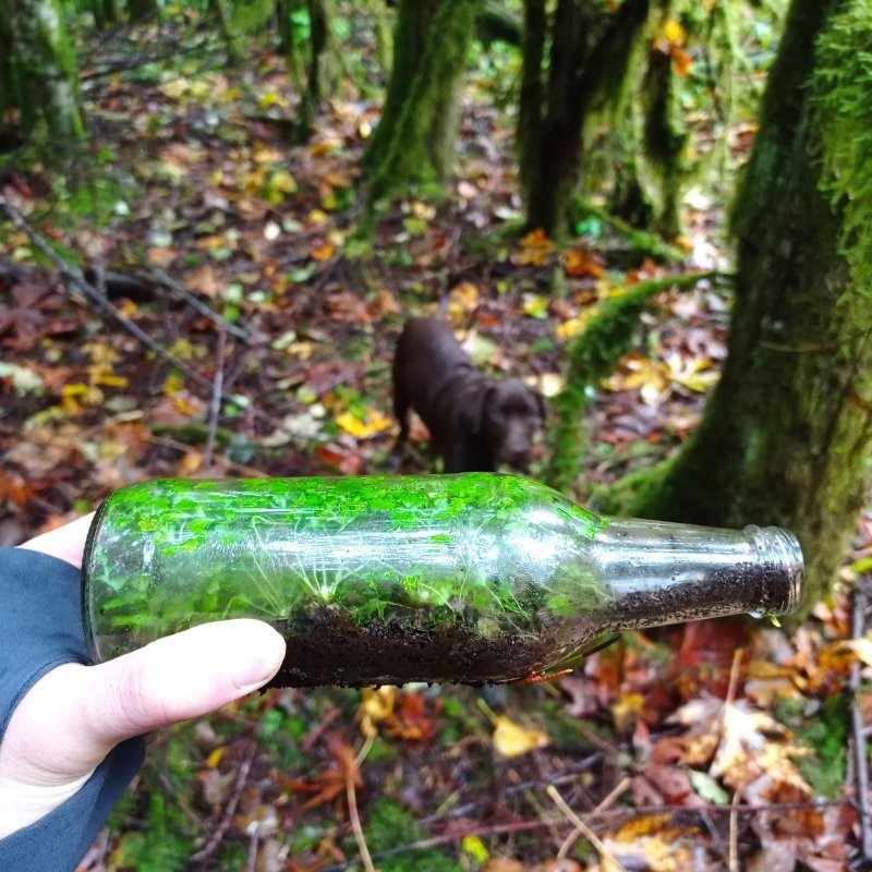 
        30&nbsp;кадров, которые заставят вас&nbsp;протереть глаза    