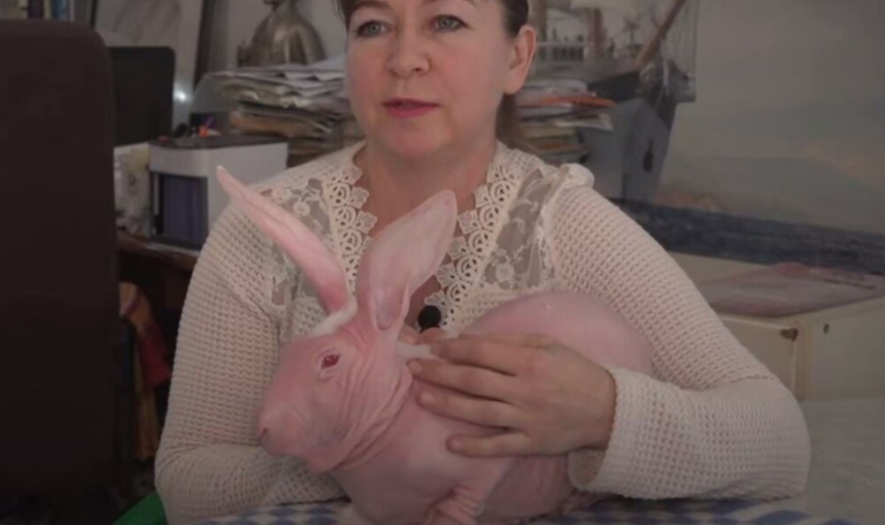 
        Лысый кролик Добби    