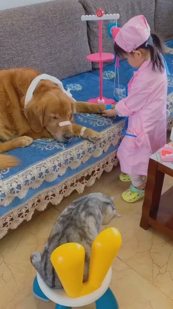 20+ моделей, фотогеничности которых можно только позавидовать
20+ моделей, фотогеничности которых можно только позавидовать