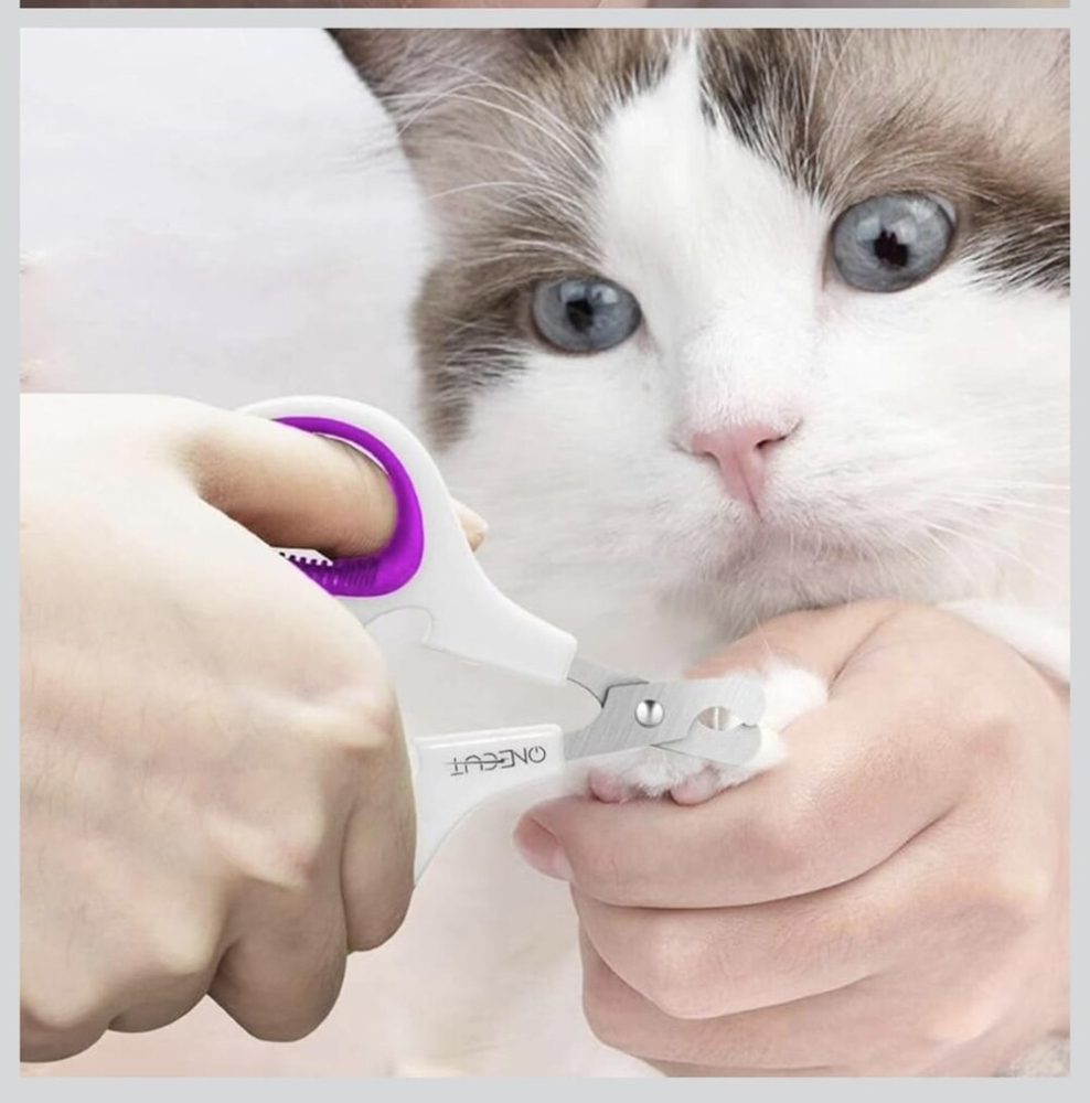 20 моментов, демонстрирующих шутки реальности
20 моментов, демонстрирующих шутки реальности