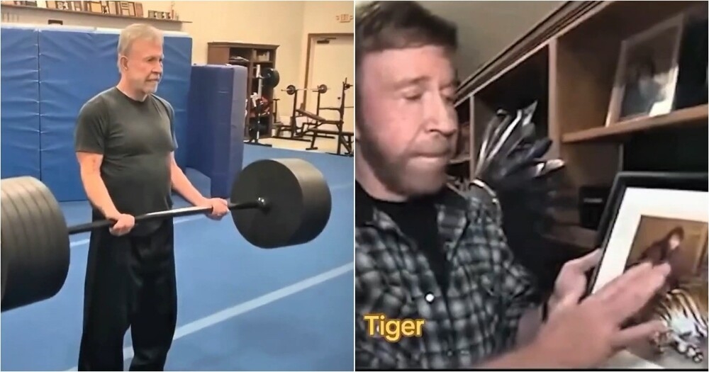 
        Лучшие шутки Чака Норриса    