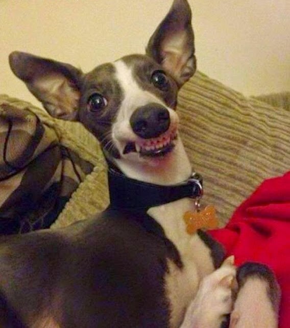 20+ моделей, фотогеничности которых можно только позавидовать
20+ моделей, фотогеничности которых можно только позавидовать