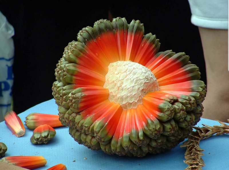 
        23&nbsp;веских причины заново влюбиться в&nbsp;эту&nbsp;планету    