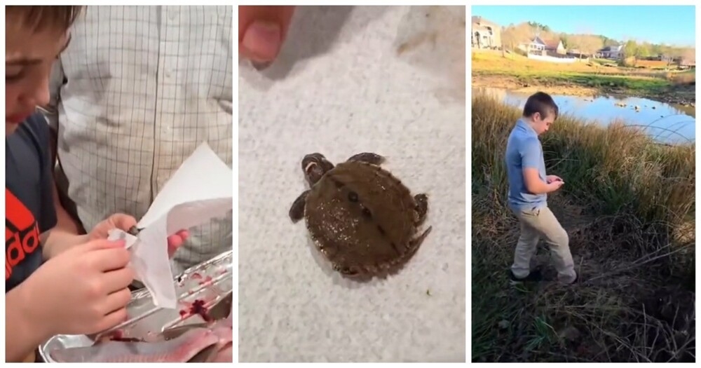 Отец и сын нашли внутри рыбы живого черепашонка
Отец и сын нашли внутри рыбы живого черепашонка