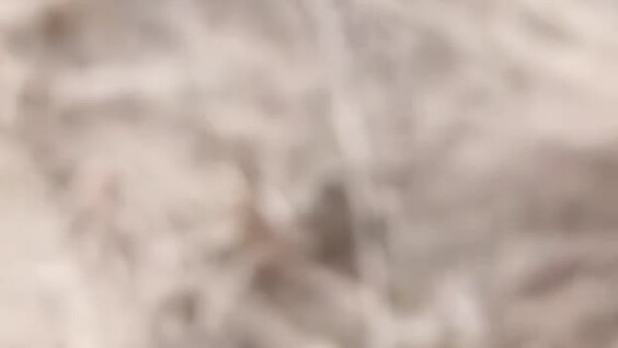 Клещи вышли на охоту
Клещи вышли на охоту