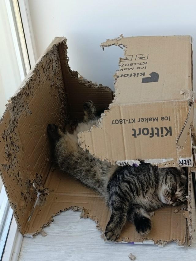 Подборка прикольных фото №3917