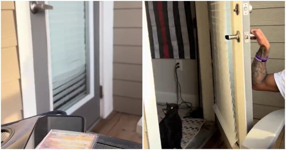 Кот желает выйти
Кот желает выйти