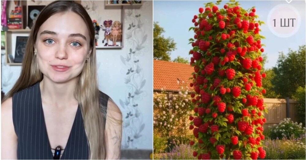 
        &laquo;Не&nbsp;знаю, что&nbsp;удивительнее: продавцы или&nbsp;покупатели&raquo; &mdash; дачники массово скупают &laquo;нейро-ягоды&raquo;    