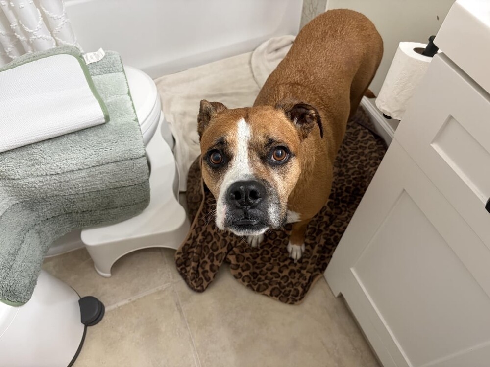 
        25&nbsp;фотороботов прелестных подозреваемых в&nbsp;совершении преступлений по&nbsp;уничтожению домашнего порядка    