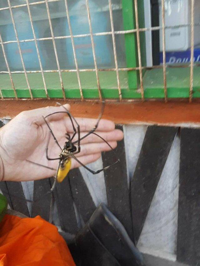 Подборка прикольных фото №3919