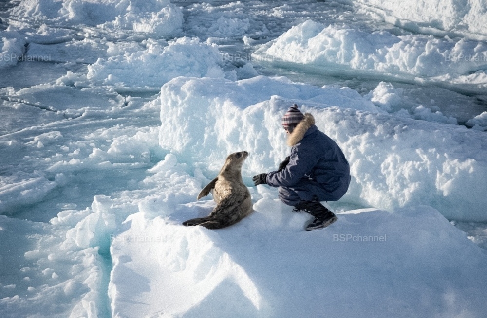 Удивительные и забавные фотографии с животными
Удивительные и забавные фотографии с животными