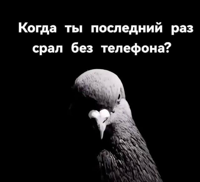 Смешные мемы