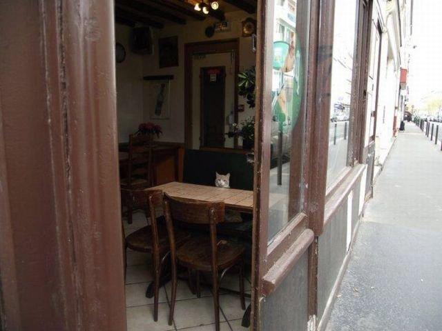 Подборка прикольных фото №3909