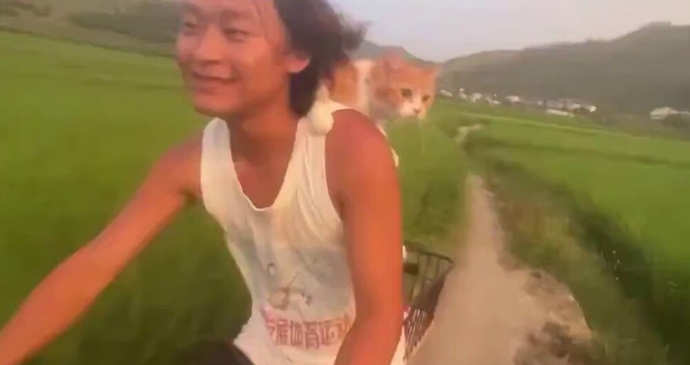 
        Навстречу приключениям    