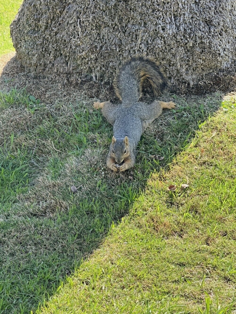 
        30&nbsp;кадров, которые заставят вас&nbsp;протереть глаза    