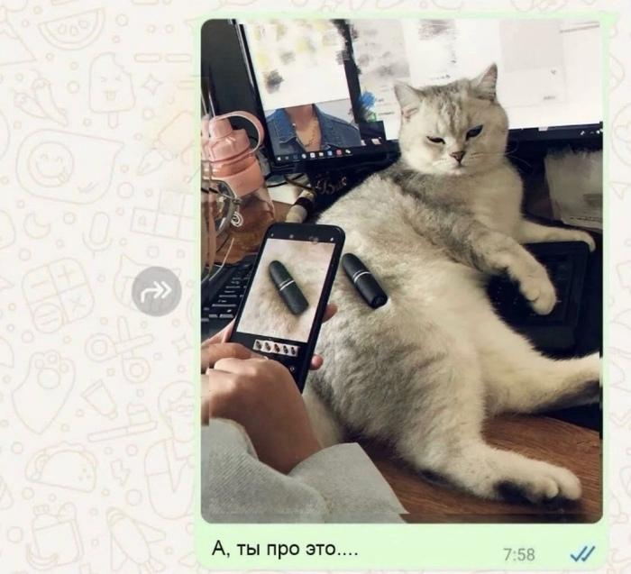 Подборка забавных переписок