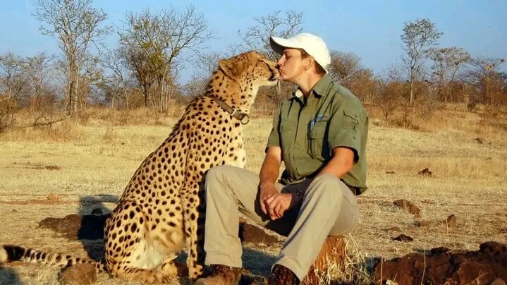 История №1590128 История №1590128