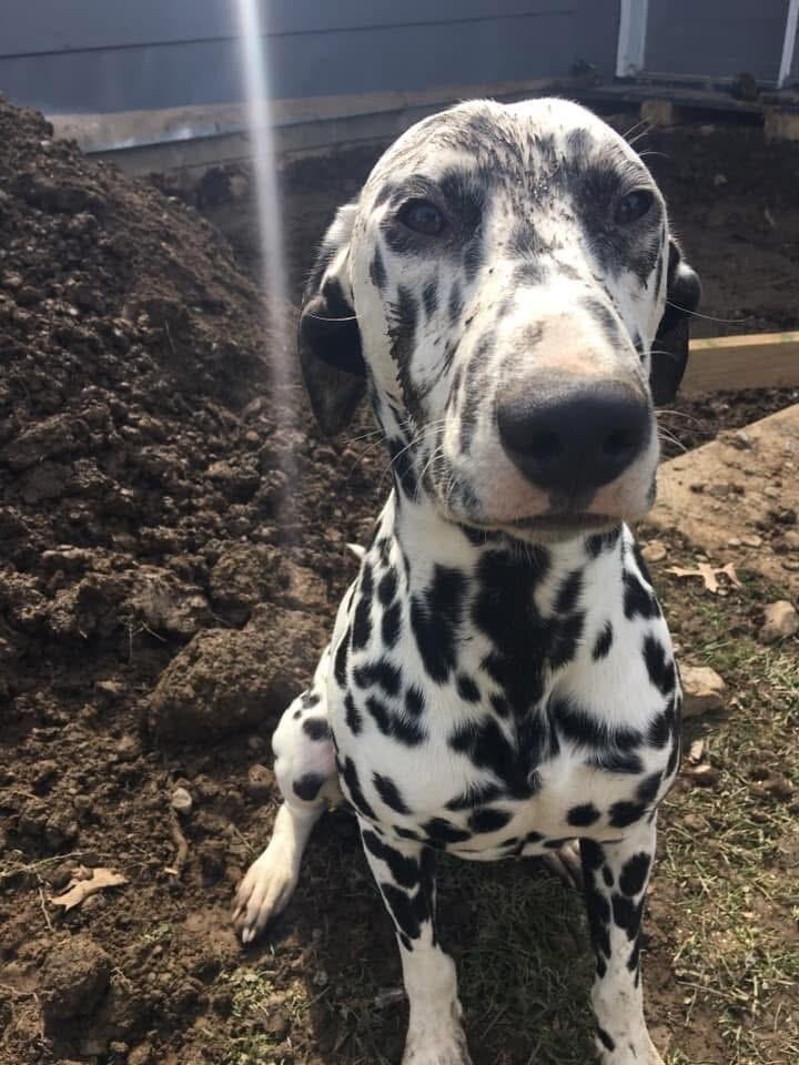 
        25&nbsp;фотороботов прелестных подозреваемых в&nbsp;совершении преступлений по&nbsp;уничтожению домашнего порядка    