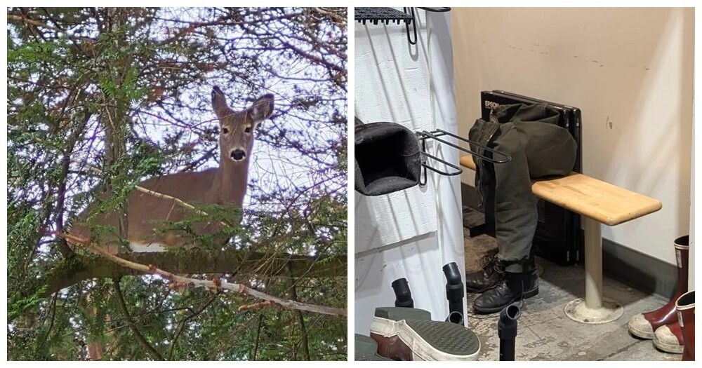 20 примеров обычной реальности, трансформирующейся в иллюзию
20 примеров обычной реальности, трансформирующейся в иллюзию