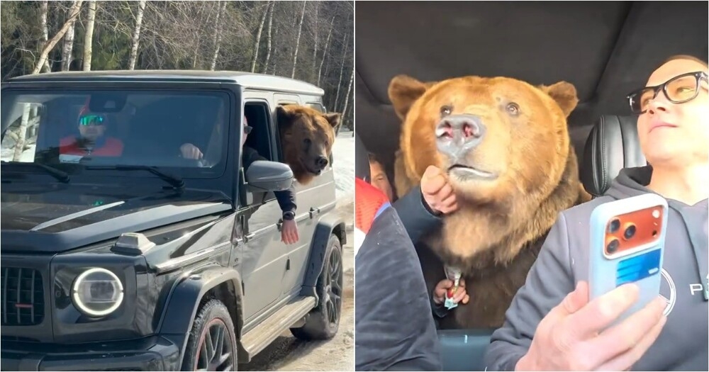 
        Русский косолапый катается на&nbsp;Гелике и&nbsp;шокирует иностранцев    