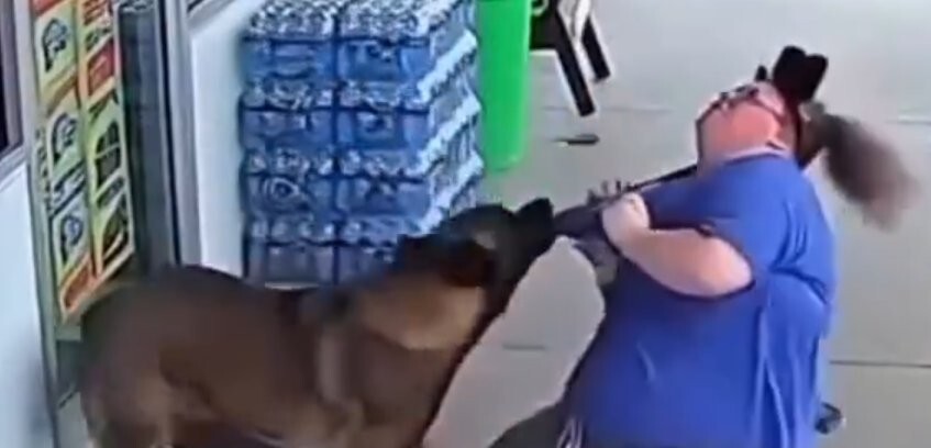 На женщину, идентифицирующую себя как собаку, напал настоящий пёс
На женщину, идентифицирующую себя как собаку, напал настоящий пёс