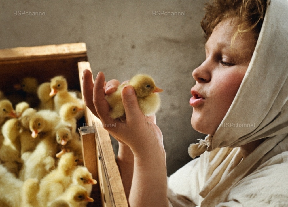 Удивительные и забавные фотографии с животными
Удивительные и забавные фотографии с животными