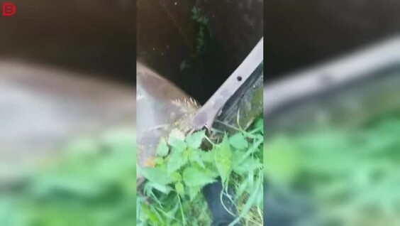 Эксперимент с колодцем пошёл не по плану
Эксперимент с колодцем пошёл не по плану