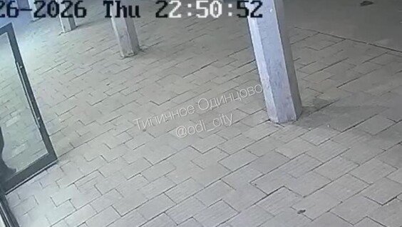 В центре Одинцово самокатчик зацепил поводок и протащил чихуахуа 10 метров
В центре Одинцово самокатчик зацепил поводок и протащил чихуахуа 10 метров