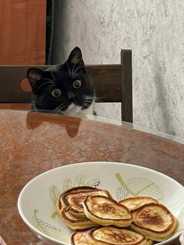 Подборка прикольных фото №3913