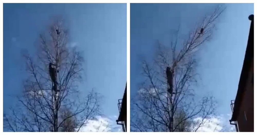 
        Спасение пошло не&nbsp;по&nbsp;плану    