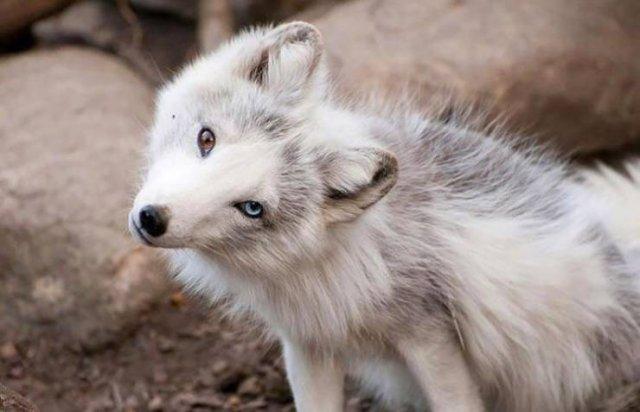 Подборка прикольных фото №3901