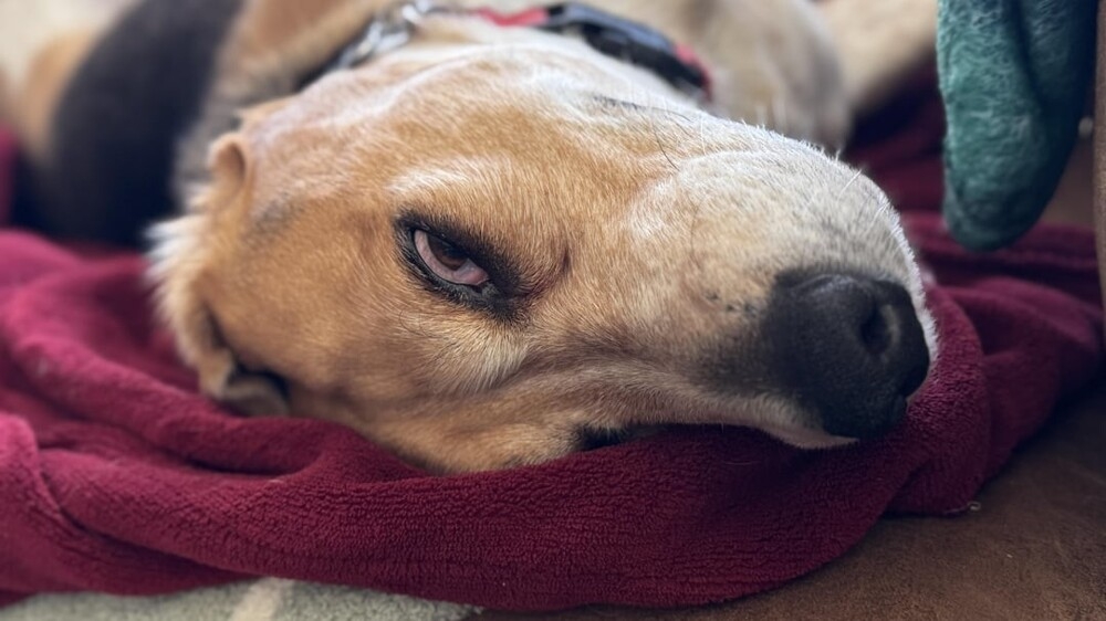 20 примеров обычной реальности, трансформирующейся в иллюзию
20 примеров обычной реальности, трансформирующейся в иллюзию