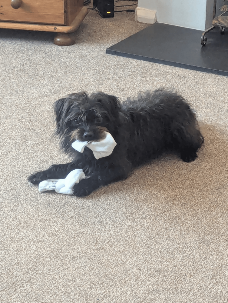 30 очаровательных пакостников, которые знают толк в дизайне и перепланировке
30 очаровательных пакостников, которые знают толк в дизайне и перепланировке