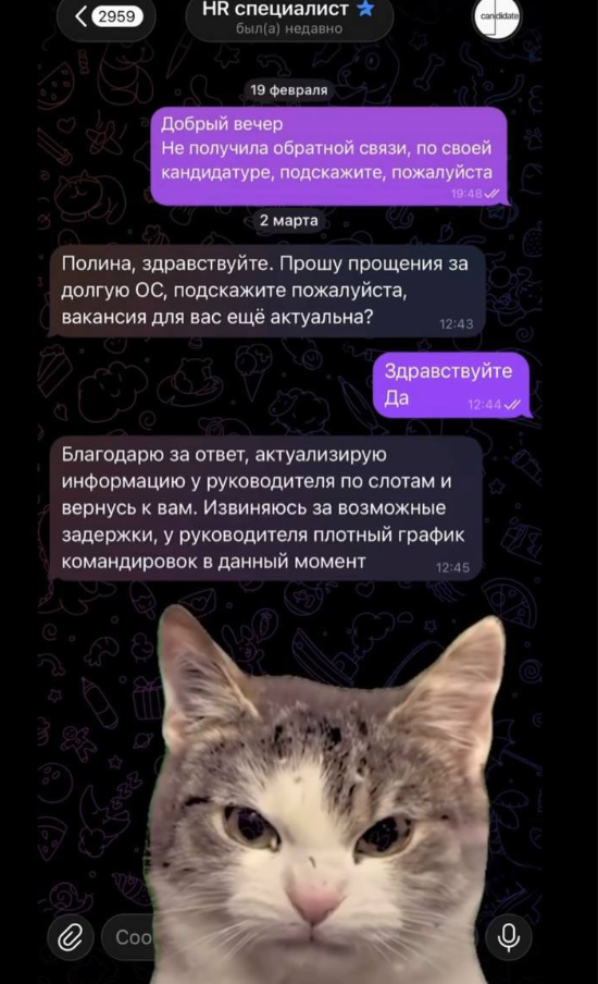 Самое обычное собеседование в 2026 году (7 фото + видео)