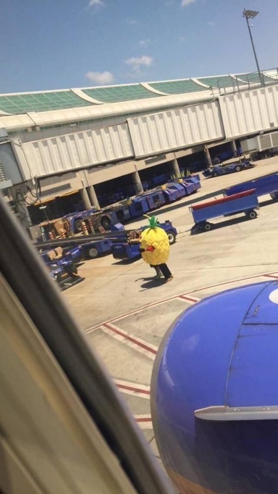 Подборка прикольных фото №3914