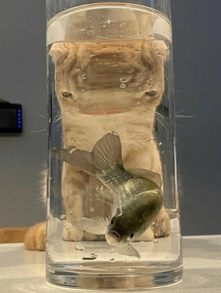 20+ моделей, фотогеничности которых можно только позавидовать
20+ моделей, фотогеничности которых можно только позавидовать